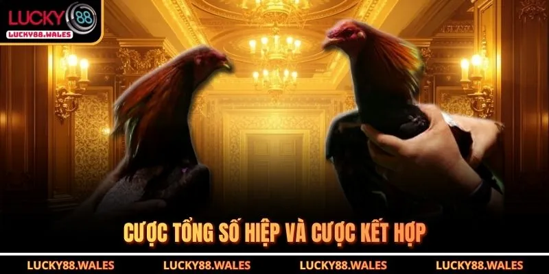 Đá gà LUCKY88