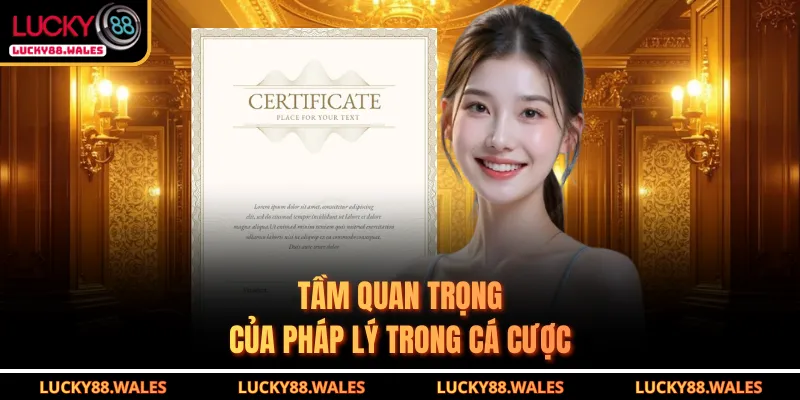 Giấy Phép Hoạt Động