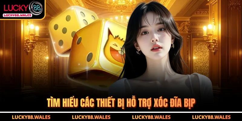 Giải Mã Xóc Đĩa Bịp